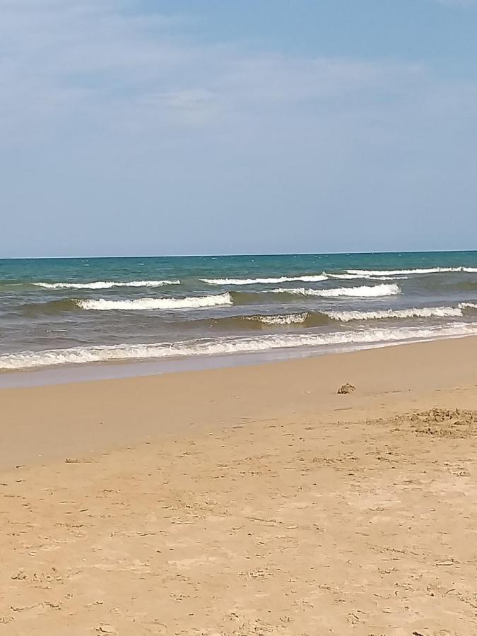 Oliva Nova Flat In Front Of Met Διαμέρισμα Εξωτερικό φωτογραφία